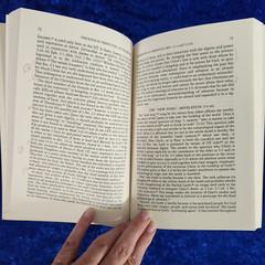 The Book of Revelation: Justice and Judgment by Elisabeth Schussler Fiorenza