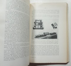 L’Origine dell’uomo 1973 The Origin of Man Darwin Evolution Paleoanthropology