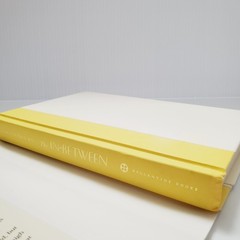 The In-Between Book Encounters During Life’s Final Moments Hadley Vlahos HC