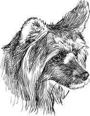 Dogs coloring book for all ages Pets Series 108 Pages 8.5 x 11 for All Ages
