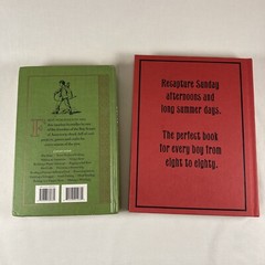 The Dangerous Book For Boys Handy Hal Iggulden Daniel Beard Hardcover Lot of 2