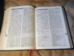 新譯和合聖經 New Chinese Version Union Parallel Bible Worldwide Bible Society