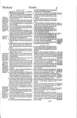1560 &1599 Geneva Bible-Reformation Scripture CommentaryJohn Calvin & Beza-on CD