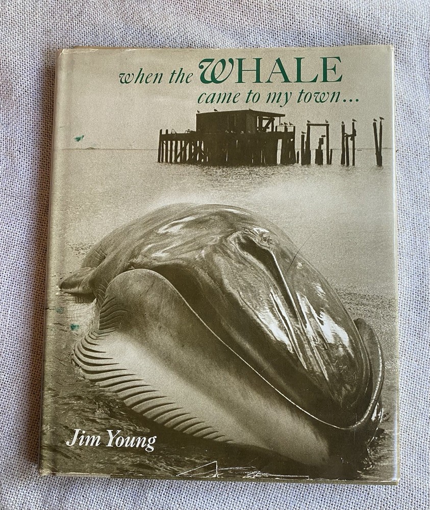 When the Whale Came to My Town by Jim Young (1974, Hardcover)
