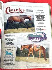 SALE ENDS 6/15! 2008 Quarter Horse Journal STALLION EDITION Book, PEPTOBOONSMAL