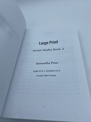 The Temporary Amish Nanny & The Amish Bishops Daughter Large Print books