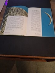 Earth’s Nearest Neighbor Moon Book 1966 Edition Bertha Parker Paperback V. G.