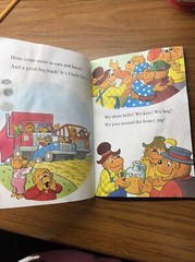 I Can Read Level 1 Ser.: The Berenstain Bears’ Family Reunion by Jan Berenstain