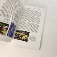 Botany for Gardeners by Brian Capon Paperback