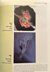 Art Studies By Max Darby