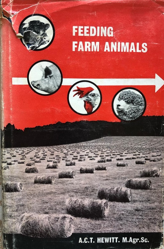Feeding Farm Animals A Hewitt