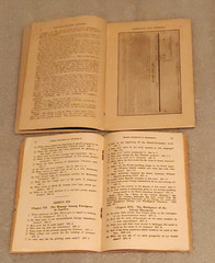 Origin & Progress of Seventh-Day Adventists, Olsen 1932, photos,text book, etc
