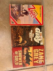Lot of 17 Western Action Books ~ Johnstone + Zane Grey + L’Amoure + Max Brand ++