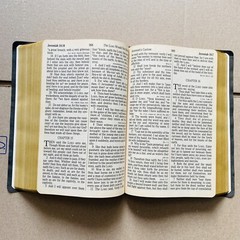 🔥1990, Nelson Regency Holy Bible King James Version Giant Print Red Letter