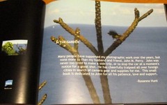 2008 In The Garden by Rosanna Hunt SIGNED Hardcover Book D/J 39 Pages RARE!!
