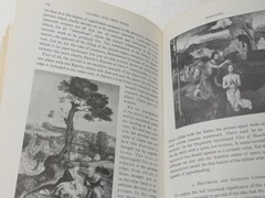 PRINCIPLES OF ART HISTORY:HEINRICH WOLFFLIN Dover 237 pages used GOOD Paperback