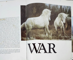Such Is The Real Nature of Horses by Robert Vavra 1979 HC 340 Color Photos