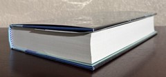 SIGNED ~ MIRRORED HEAVENS by Rebecca Roanhorse (2024, Hardcover) 1st/1st