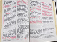 The Living Bible Large Print Brown Bonded Leather Red Letter Tyndale Pub 1984