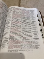NASB Thompson Chain-Reference Bible Leathersoft Brown Red Letter 1977 Text INDEX