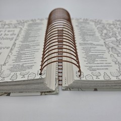 NLT Bible DaySpring Inspire Illustrating Bible With Filament App Spiral Bound