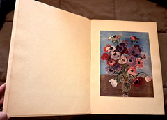 DUFY, Masterpieces of French Painting, Maurice Raynal, FOLIO SIZE SC, SKIRA 1939
