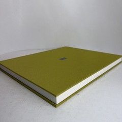 Interaction of Color 2-Book Set Complete Edition by Josef Albers