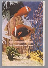 THE ANEMONEFISHES: THEIR CLASSIFICATION AND BIOLOGY By Gerald R. Allen , 1972