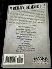 Funny Thing Happened on the Way to Heaven Paperback Grant H. Peal