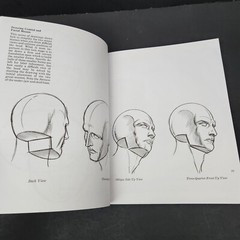 Drawing the Human Head by Burne Hogarth proportions types aging feature movement