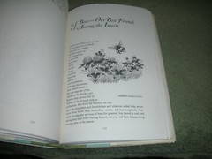 THE WILDLIFE GARDENER by John V Dennis 1985 HC/DJ ~ 1st Ed 1st Priny + Cover