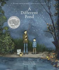 A Different Pond (Capstone Young Readers) – Hardcover By Phi, Bao – GOOD