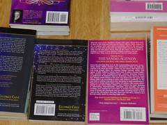 Romance / Fantasy Novels Books Random Mixed 2000’s & 2010’s Lot Of 18