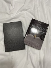 The Painted Darkness by Brian Freeman, SIGNED Limited Edition, HCDJ in Slipcase
