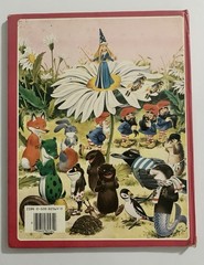 VINTAGE!!! The Woodland Folk in Fairyland Written By Tony Wolf