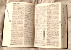 Kenkyusha’s New Collegiate English-Japanese Dict. – 4th Ed. 1977
