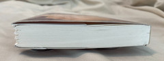 Secrets of the Proverbs 31 Woman: Fresh Perspectives on Biblical Wisdom