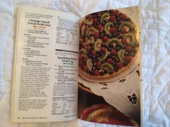 Pillsbury Classics Cookbook ALL American Picnics & Barbecues #172 1995 94 Pages