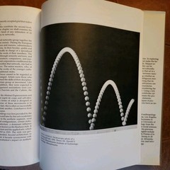 Jacques Maquet The Aesthetic Experience. Yale University Press 1986