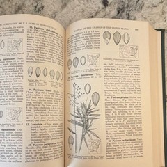 Manual of the Grasses (Hardcover, 1950, 2nd Ed.) A. S. Hitchcock & Agnes Chase:
