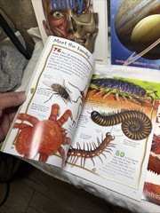 LOT OF 5 100 Facts Large Picture Book Miles Kelly Ages 7-11 Grade 1-5 Homeschool