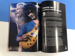VAN HALEN Excess All Areas (1994) UK FAN BOOK by Malcolm Dome / 144 pages #808