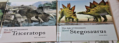 Lot 14 Library Bound Hardcover The Age of Dinosaurs Books