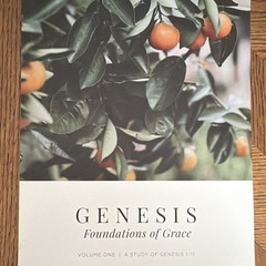Genesis: Foundations of Grace Vol 1 Joanna Kimbrel PB Illus