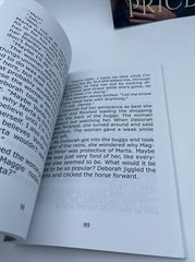 The Temporary Amish Nanny & The Amish Bishops Daughter Large Print books