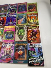 Goosebumps RL Stine Book Lot Of 17 Multiple Titles Preowned Horror Scary Stories