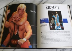 WRESTLING : THE GREATEST STARS 1987 HC Book Hulk Hogan Dusty Rhodes Rick Flair
