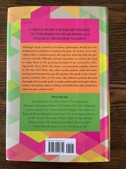 The Stone Reader by Catapano Critchley 2015 Modern Philosophy Hardcover:VG