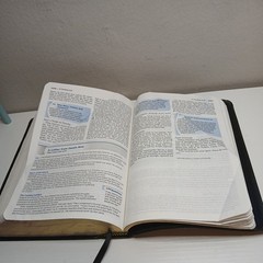 Student Bible NIV Philip Yancey Tim Stafford 2002 Bonded Leather Zondervan