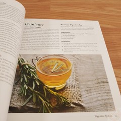 Illustrated Encyclopedia of Natural Remedies / Recipes Book Superfoods Cleanses